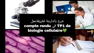 شرح بالدارجة لطريقة عمل compte rendu في TP1 de biologie cellulaire سنة اولى تخصص بيولوجي L1 Snv s1 [upl. by Akcinat]