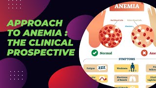 Approach to Anemia  The clinical Prospective [upl. by Strickler]