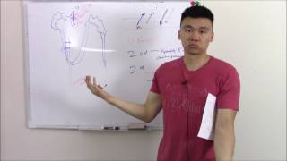 USMLE Renal 10 Renal Physiology Made Easy Clearance and GFR [upl. by Felicio259]