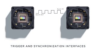 Metavision Training Videos  Trigger and Synchronization Interfaces [upl. by Eicnan]