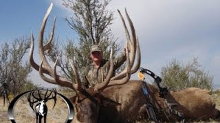 443quot and 403quot MONSTER Archery Elk Hunts Free Range  MossBack [upl. by Sand]