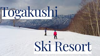 Togakushi Ski Resort Tsugaike Ropeway and a day on our own private resort [upl. by Sivi]