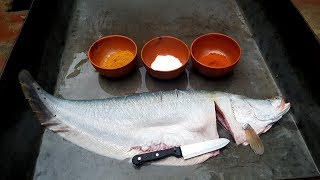 Spice Fish Fry  Big Clown Knifefish Cutting amp Fried Fish Prepared By Boys  Chitol Fish Cooking [upl. by Llehcim]