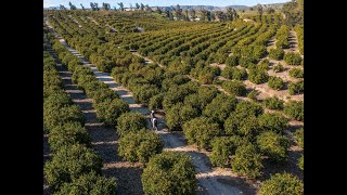 Rustic Valley Farms  Moorpark CA [upl. by Gerhardt993]