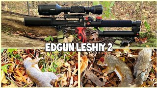 Squirrel Hunting  EDgun Leshiy 2  First Hunt Double Headshots [upl. by Corrie142]