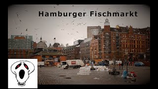 Menschen Müll und Möven  Der Hamburger Fischmarkt [upl. by Teressa]