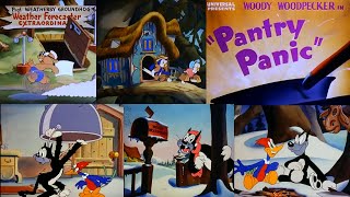 Pantry Panic 1941  A Classic Woody Woodpecker Cartoon [upl. by Gilberto]