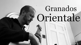 Enrique Granados  Spanish Dance No 2 “Orientale” arr Stanley Yates with snoring dog [upl. by Enomor40]