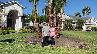 Our Happy Customers With a Four Trunk Ribbon Palm Centerpiece For Their Beautiful Home and Landscape [upl. by Barbie]