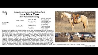 Pitzer Ranch Spring Sale 2024 Lot 13 IMA DIVA TWO [upl. by Shani675]