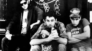 Beastie Boys  Check Your Head 1992 [upl. by Hyman]