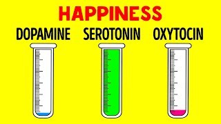 How Hormones Influence You and Your Mind [upl. by Daeriam]