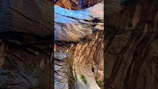 The Narrows Zion National Park 🫧 [upl. by Odie]