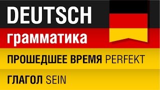 Прошедшее время Perfekt Глагол Sein Немецкий язык для начинающих Урок 1031 Елена Шипилова [upl. by Nylodam89]