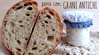 PANE con farina di GRANI ANTICHI [upl. by Rialc]