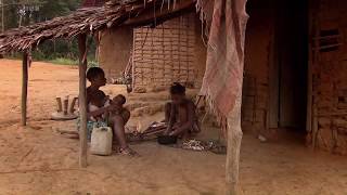 BBC HD Tribal Wives the Babongo Gabon S02E02 Series Two Episode Two [upl. by Ynnol]