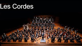 Les instruments de lOrchestre Symphonique  Les Cordes frottées [upl. by Lisan331]