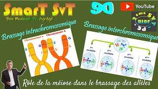 90Brassage interchromosomique et brassage intrachromosomique [upl. by Hacceber]