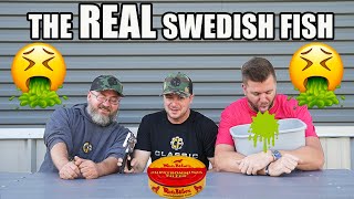 We Tried The World’s Worst Smelling Fish Surströmming [upl. by Gagliano]