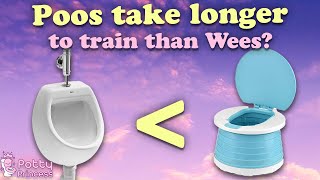 Demystifying Potty Training Why Poop Takes Longer amp How to Navigate It [upl. by Desmond]