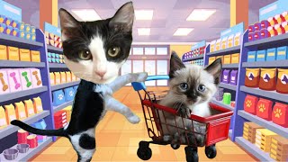 24 HORAS COMPRANDO TODO PARA EL BEBE GATITO en tienda de animales  Videos de gatos Luna y Estrella [upl. by Yekcir]