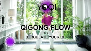 Qigong to Circulate Your Energy [upl. by Litt]