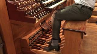 Excerpt Tournemire Ave maris stella  David Boeckh organist [upl. by Linet]