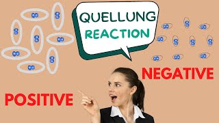 Quellung Reaction The Basics [upl. by Guzel]