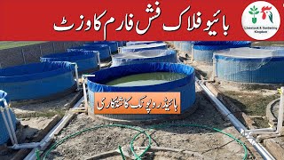 Visit of Biofloc fish farm in Pakistan part2  biggest Biofloc Setup with hydroponic farming [upl. by Susi]