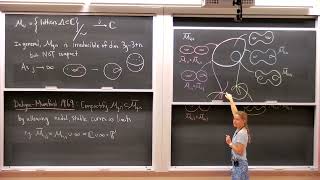 Cohomology of moduli spaces of curves [upl. by Nosa]