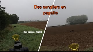 Tire de sangliers en battue au maïs  une journée incroyable [upl. by Aehc181]