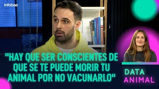 ¿Qué pasa si no vacuno a mi perro y cuáles son las enfermedades más comunes  DataAnimal [upl. by Eisle]