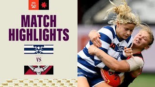 Geelong v Essendon Highlights  2023 NAB AFLW Finals [upl. by Ulphi566]