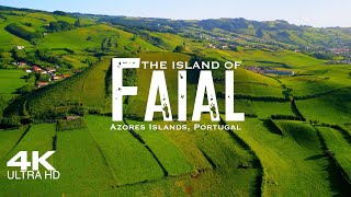 FAIAL Island 🇵🇹 Fayal Drone Aerial 4K 2024  Azores Açores Portugal [upl. by Thorne]