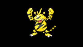 Pokemon Cries  125 Electabuzz [upl. by Ahsiekim]