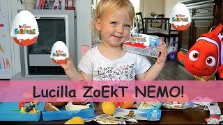 6X SURPRiSE EiEREN UiTPAKKEN  NEMOS DORY  Lucilla Bellinga Vlog 22 [upl. by Rox]