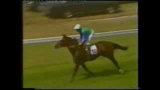 Sadlers Wells  1984 Coral Eclipse Stakes Group 1 [upl. by Eeldarb267]