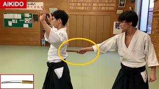 Amazing Aikido Tanto Dori short sword  Shirakawa Ryuji shihan [upl. by Kast]