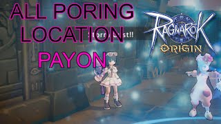 All Poring location in Payon  Ragnarok Origin Global [upl. by Amalie]