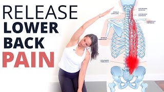 Lower Back Pain RELIEF  Erector Spinae amp Quadratus Lumborum Release [upl. by Kcirded406]