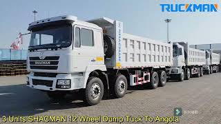 3 units SHACMAN 8x4 dump truck delivery to Algeria [upl. by Anisamoht]