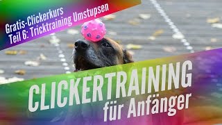 Clickertraining für Anfänger Teil 6  Locken  Umstupsen [upl. by Oenire]