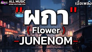 ผกา Flower  JUNENOM【เนื้อเพลง】 [upl. by Lleon]