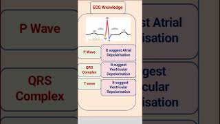 ECG PQRST wave [upl. by Airemahs]