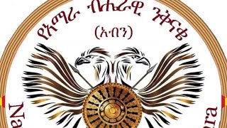 Betelhem Dagnachew ll ቤተልሄም ዳኛቸው [upl. by Yecies742]