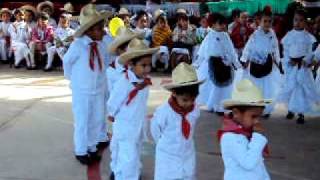 Niños bailando baile de Veracruz [upl. by Petracca816]