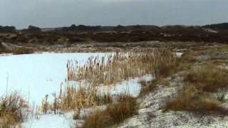 Wangerooge  Inselbahn und Natur im Winter [upl. by Feodor]