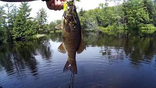 Rest stop fishing Skootamata River July 7 [upl. by Daukas]