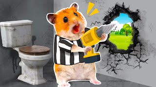 Hamster Escaping MAXIMUM SECURITY PRISON  Funny Hamster Cartoon by Hamster Toons [upl. by Yentruok]