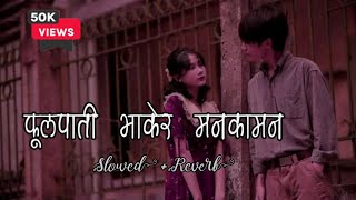 Makhamali Pachauri Le Sanu  slowed and reverb   Nepali vibe cover song [upl. by Hadwyn503]